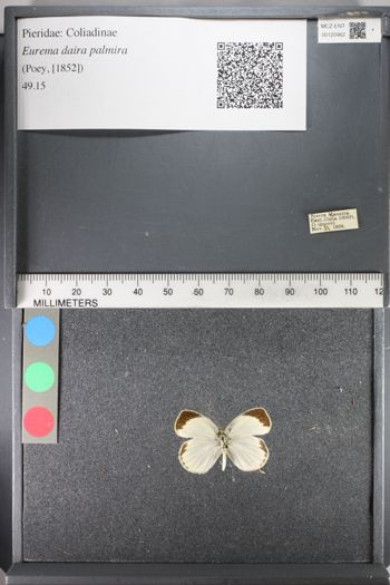 Media type: image;   Entomology 120962